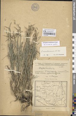 LE 01227858