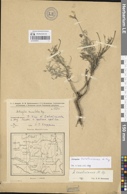 LE 01227873