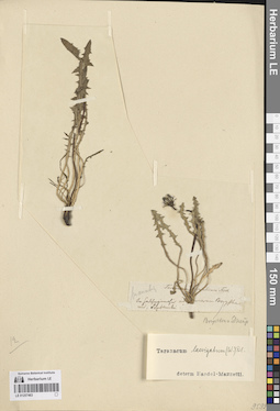 LE 01257463