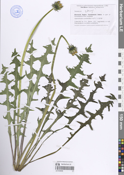 LE 01256558