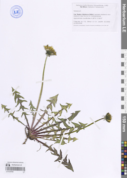 LE 01257062
