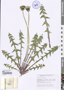LE 01257201