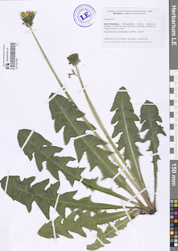 LE 01257205