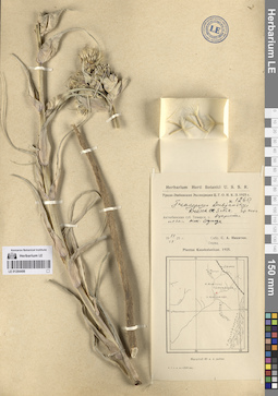 LE 01264406