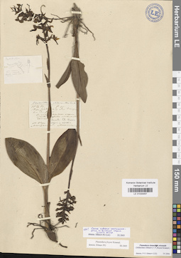 LE 01033057