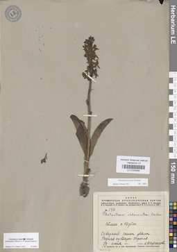 LE 01033069