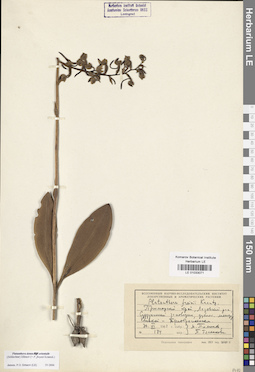LE 01033071