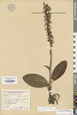 LE 01033073