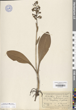 LE 01033074