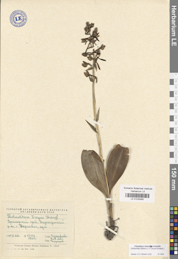 LE 01033082