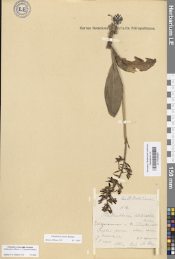 LE 01033087