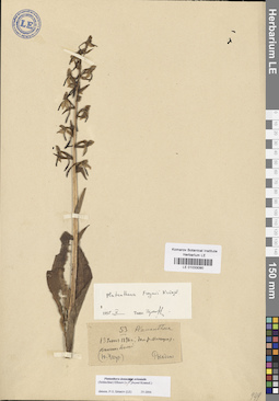 LE 01033090
