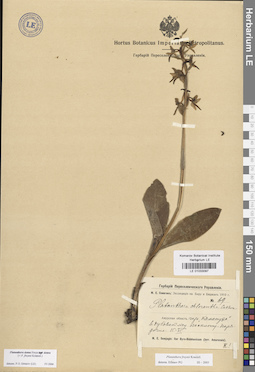 LE 01033097