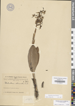LE 01033101