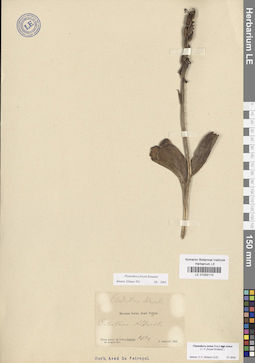 LE 01033110