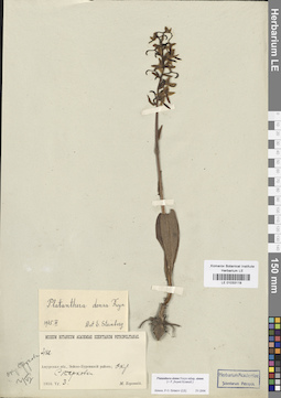LE 01033119