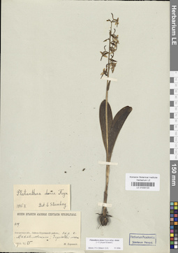 LE 01033123