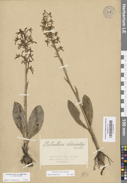 LE 01033125