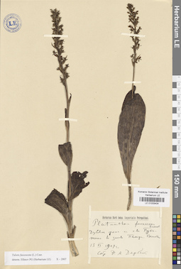 LE 01033404