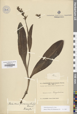 LE 01033469