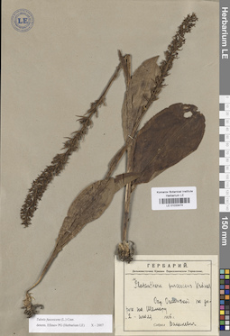 LE 01033474