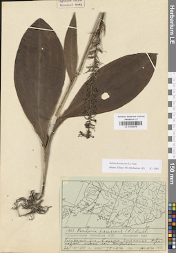 LE 01033479