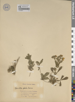 LE 01262613