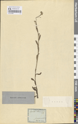 LE 01121504