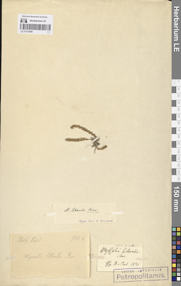 LE 01121508