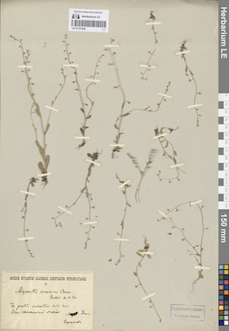 LE 01121528