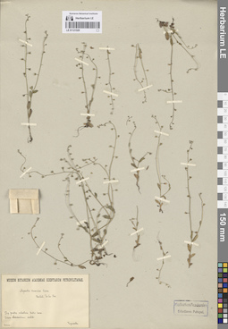 LE 01121529