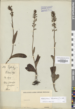 LE 01033483