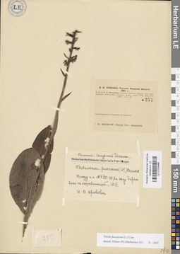 LE 01033486