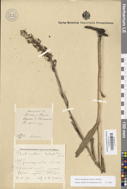 LE 01033576