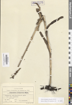 LE 01033580