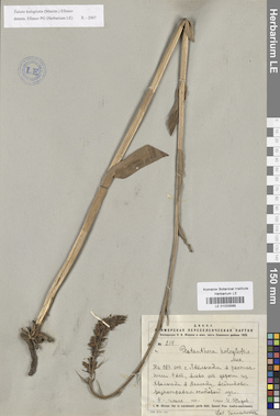 LE 01033589