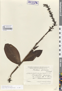 LE 01251587