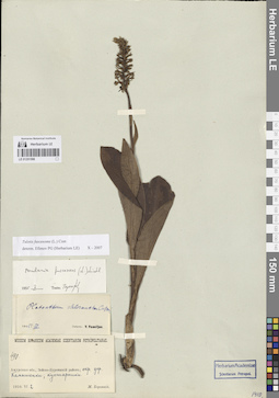 LE 01251598