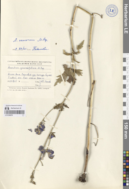 LE 01264576