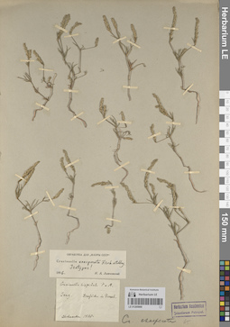 LE 01205068