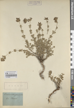 LE 01205069