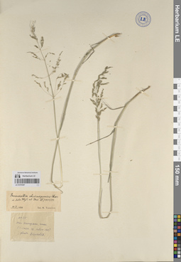 LE 01070397