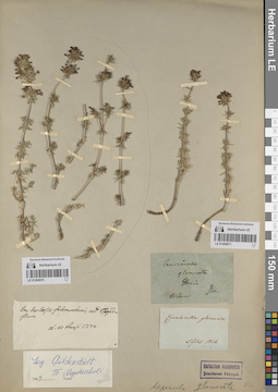 LE 01205071