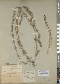LE 01205072