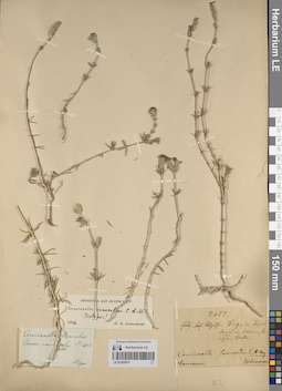 LE 01205075