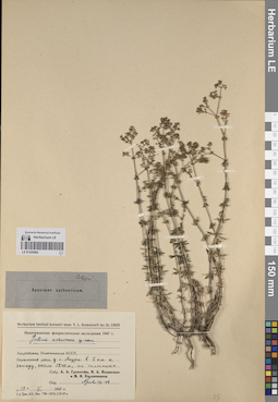 LE 01205082