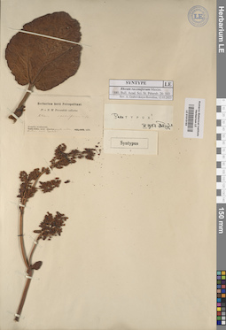 LE 01013193