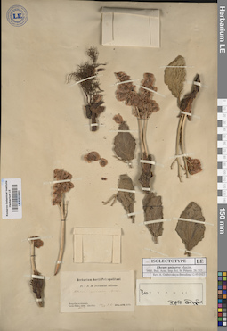 LE 01013201