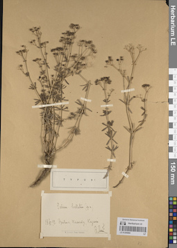 LE 01205094
