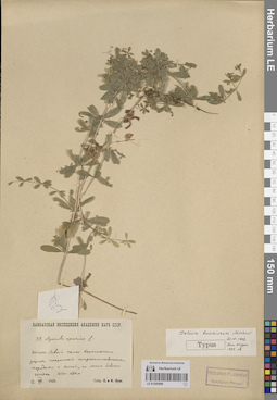 LE 01205098